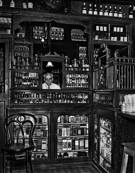 Resultado de imagem para ARA GüLER FOTOGRAFO